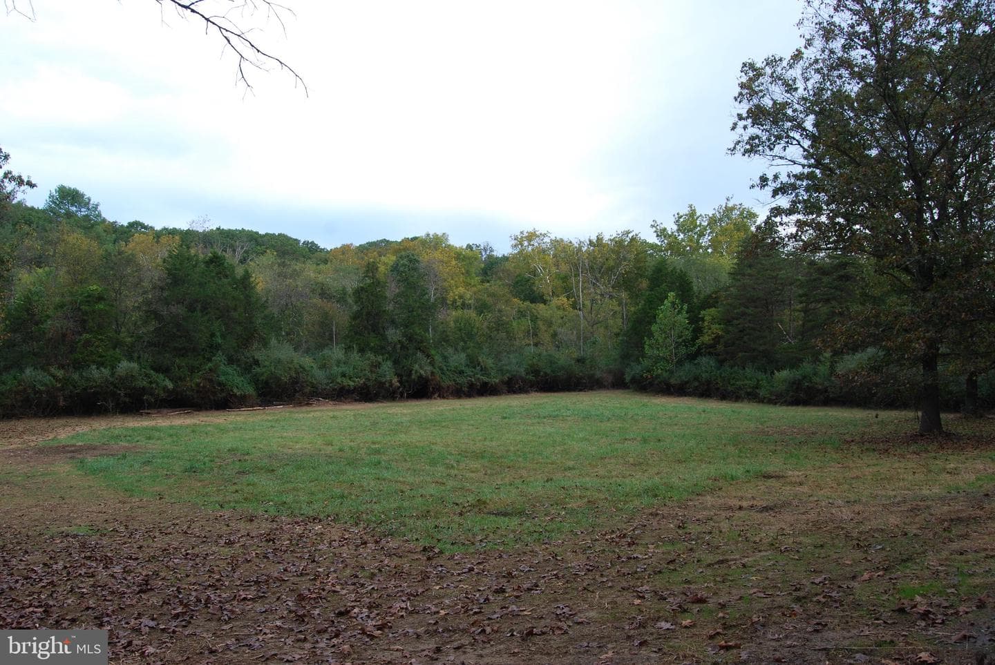 2983 Old Winchester Road photo 109