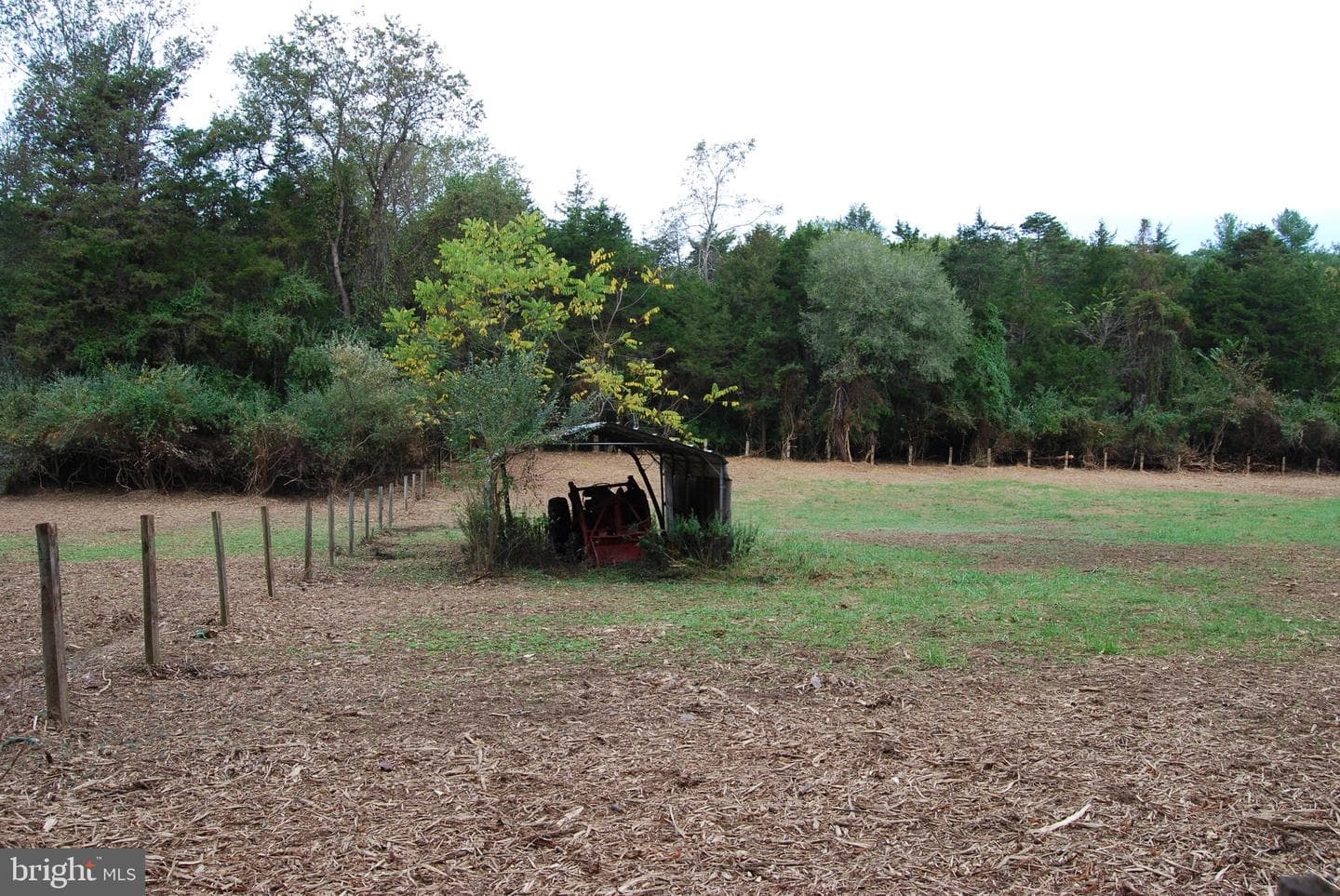 2983 Old Winchester Road photo 110