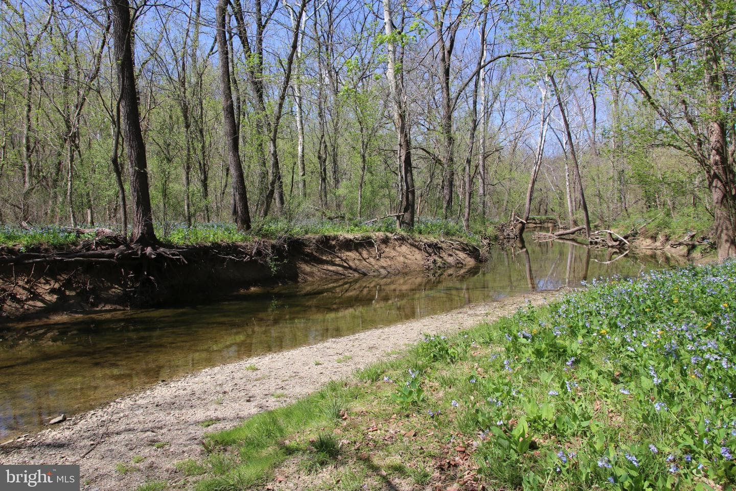 2983 Old Winchester Road photo 14