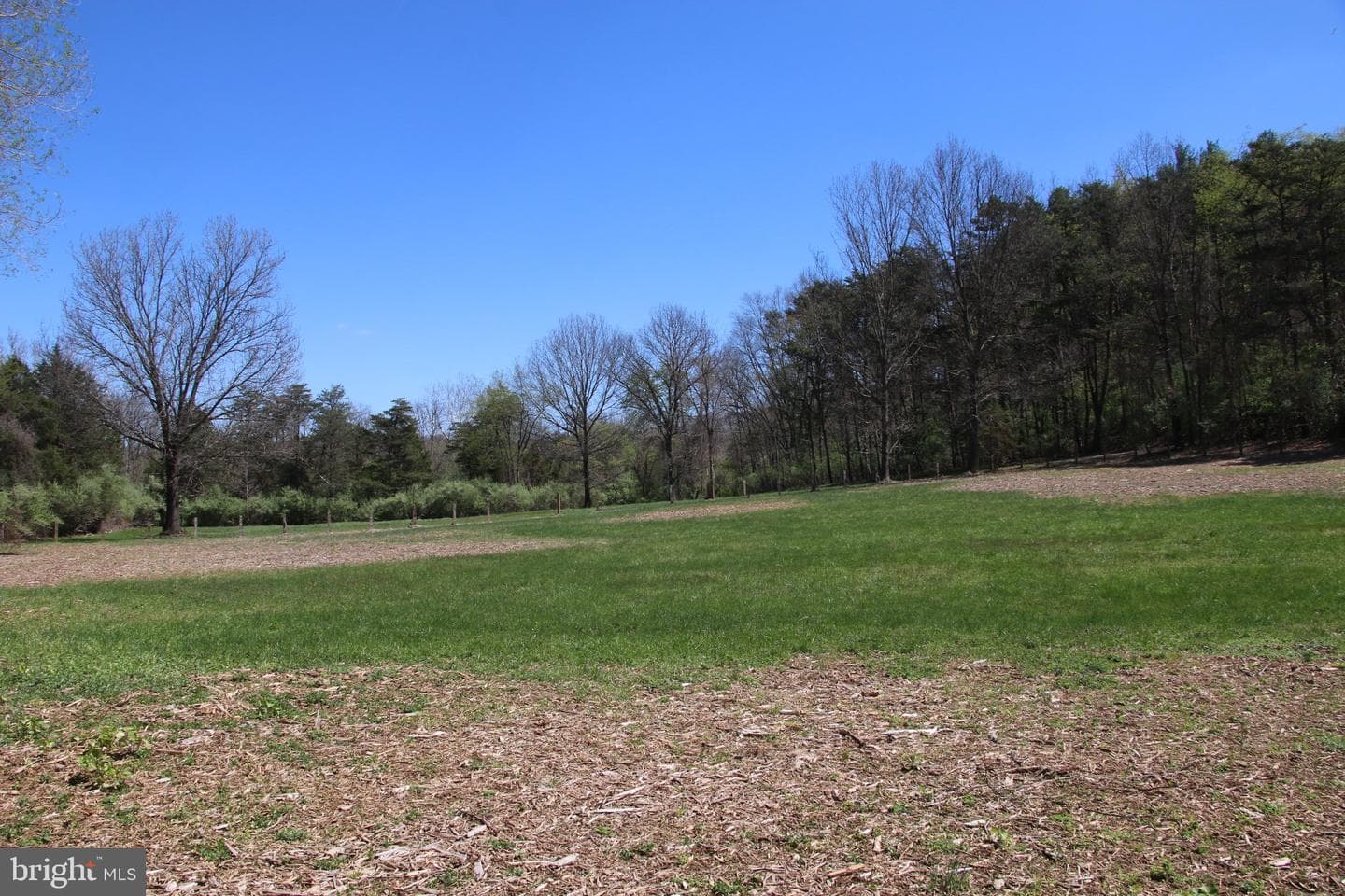2983 Old Winchester Road photo 35