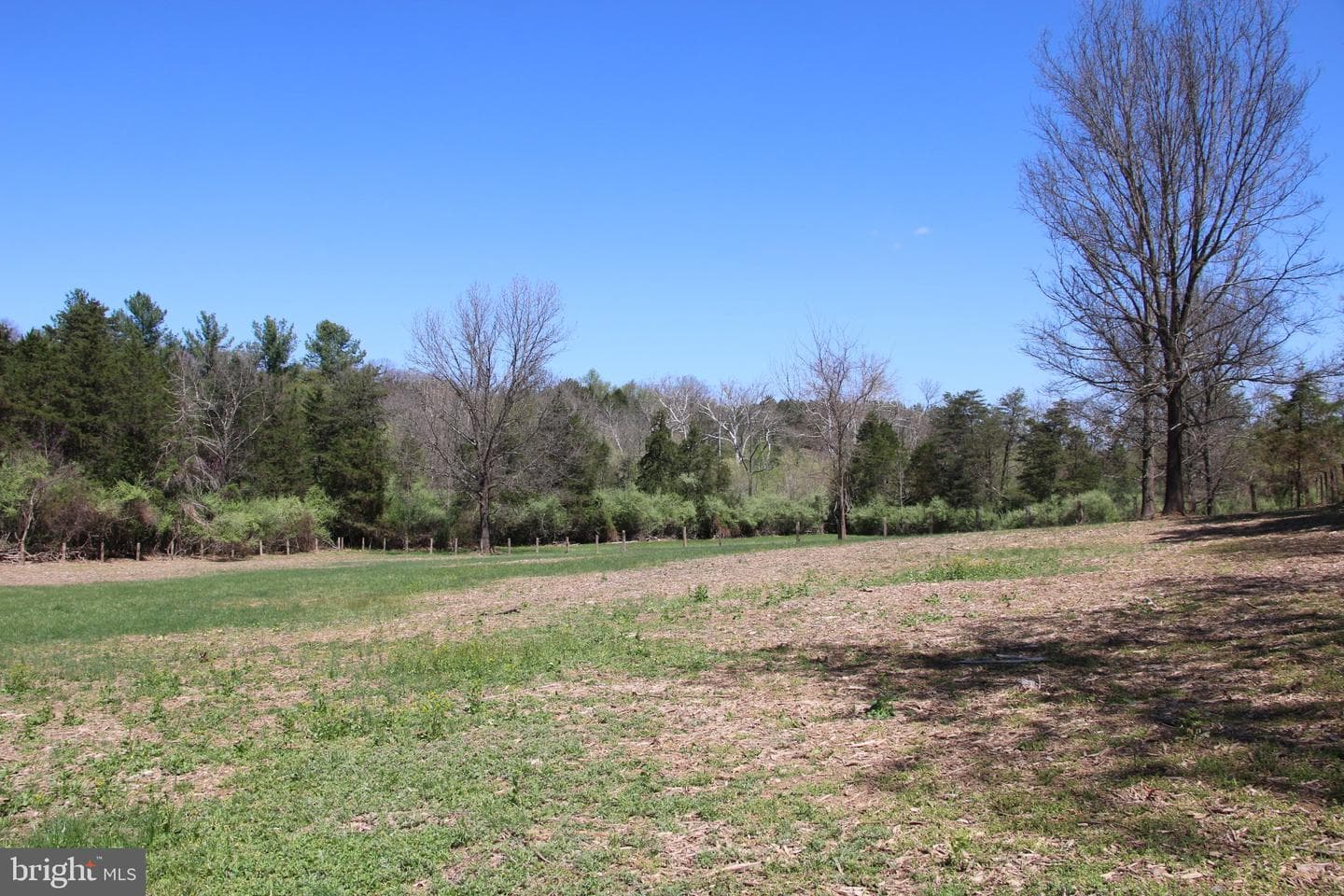 2983 Old Winchester Road photo 37