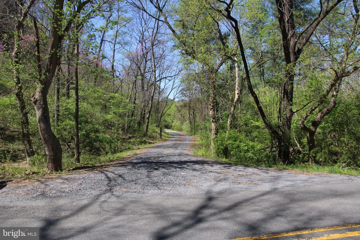 2983 Old Winchester Road photo 41