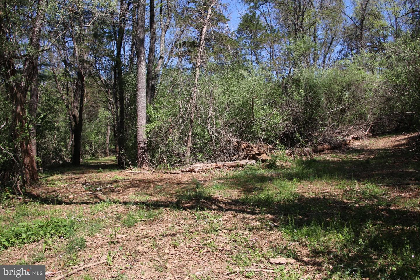 2983 Old Winchester Road photo 9