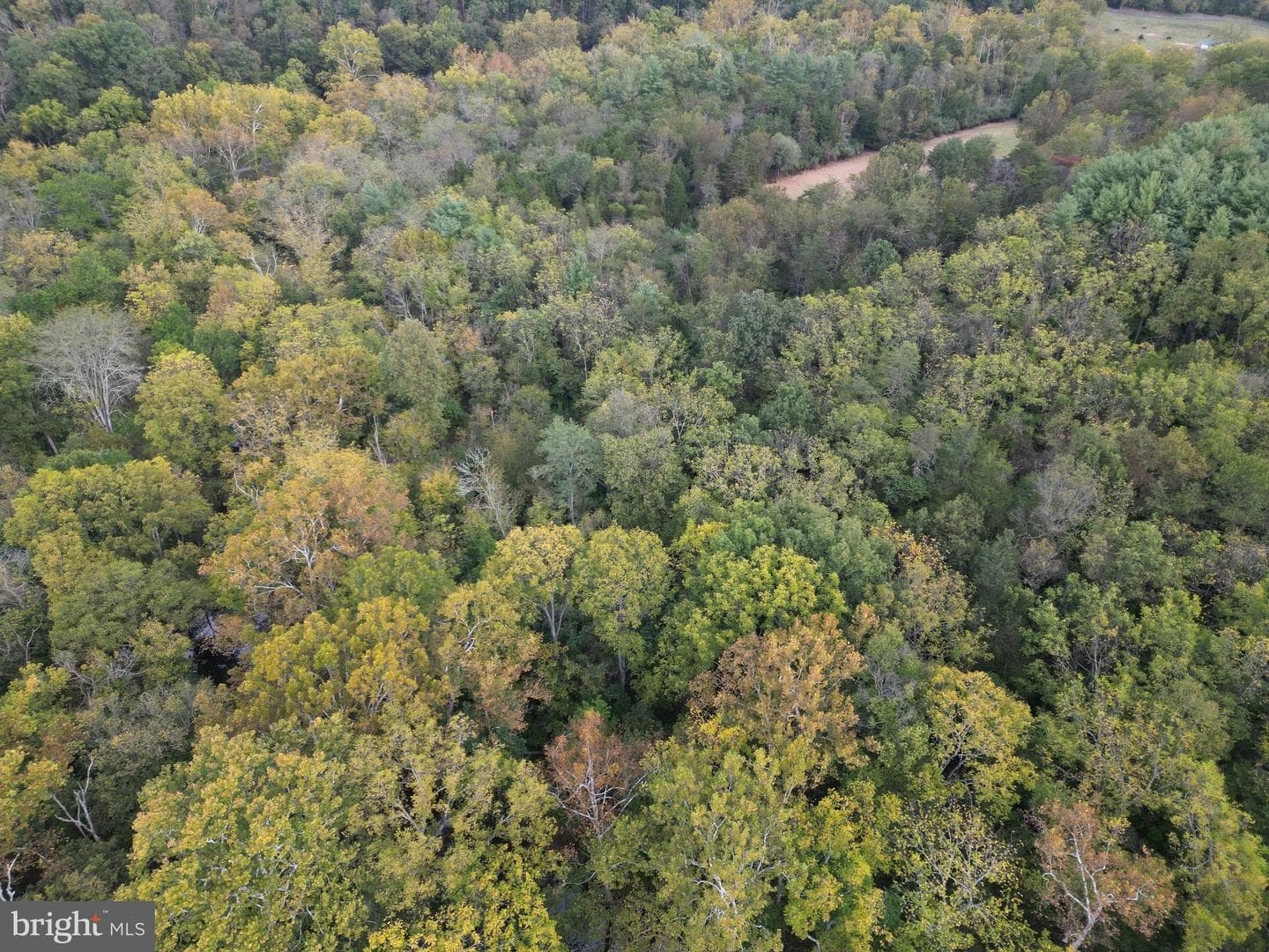 2983 Old Winchester Road photo 90