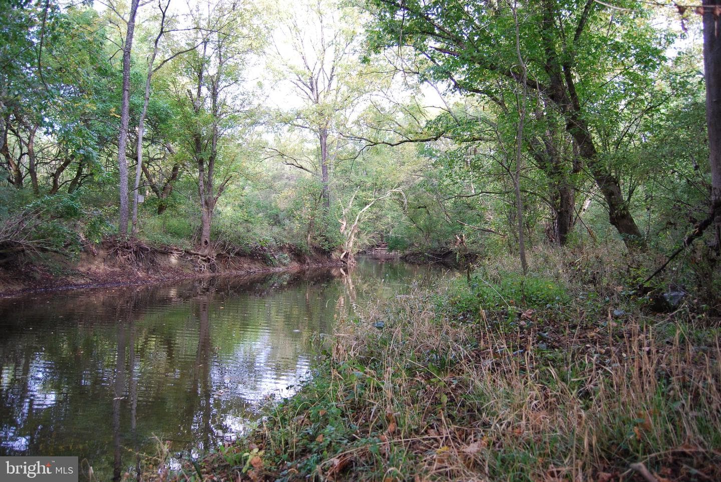 2983 Old Winchester Road photo 95