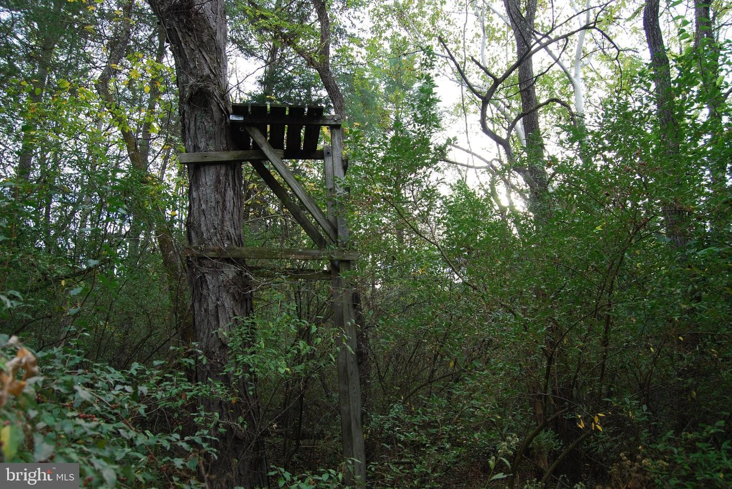2983 Old Winchester Road photo 97