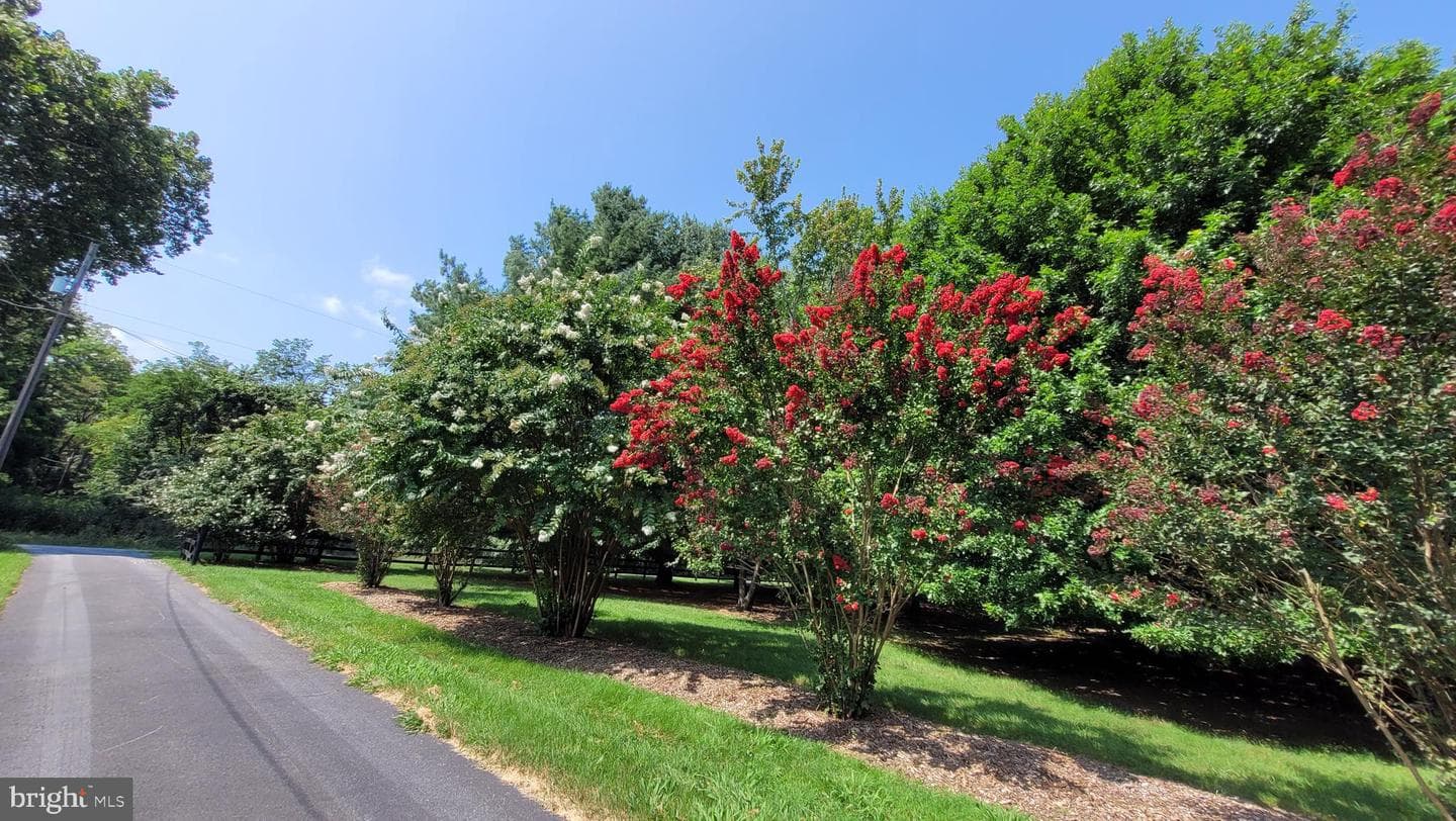 1527 Shenandoah River Lane photo 58
