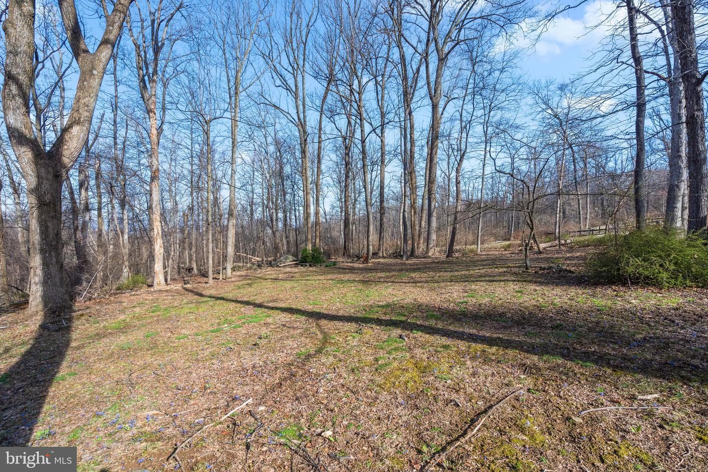 17641 Raven Rocks Road photo 94
