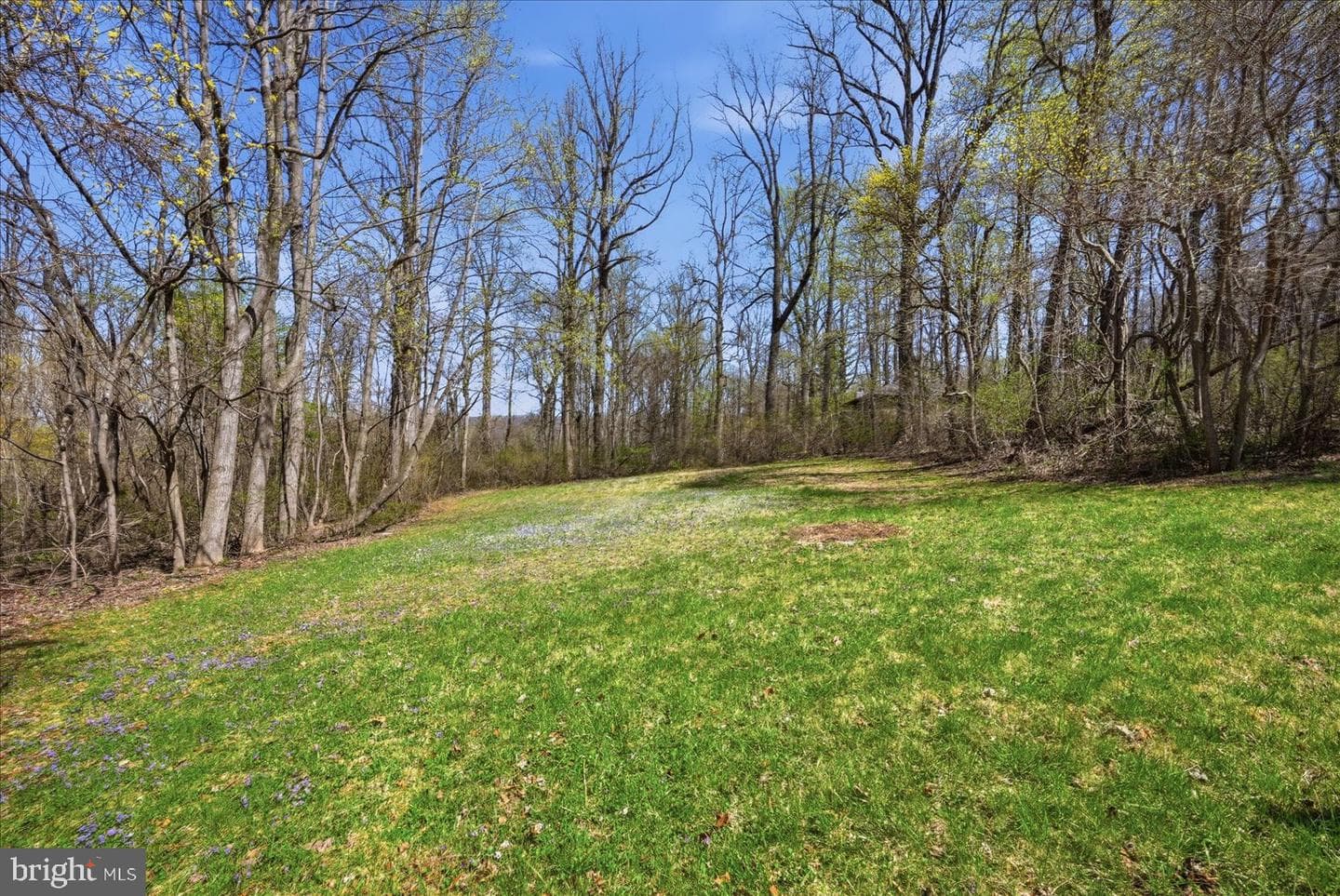 22009 Blue Ridge Mtn Road photo 40