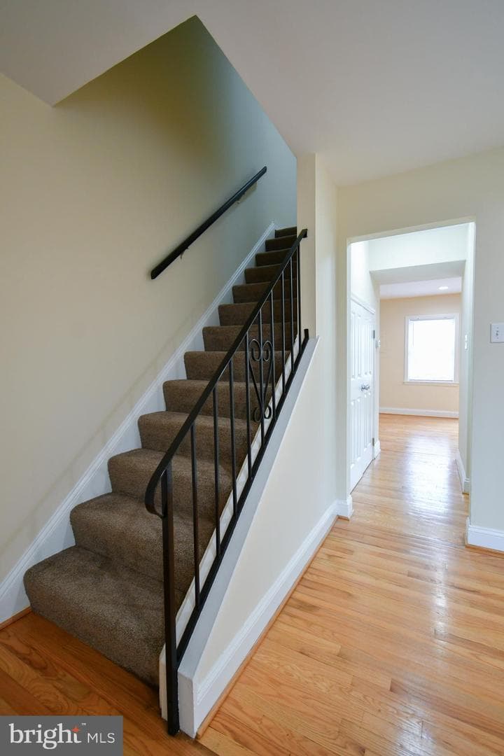 234 Cameron Street photo 19