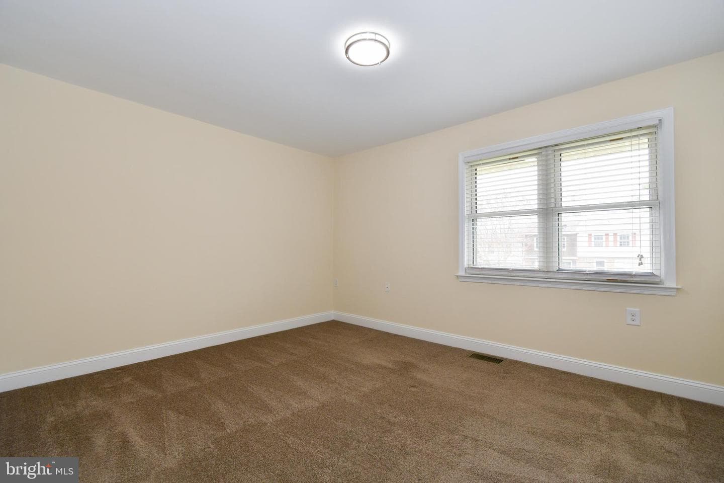 234 Cameron Street photo 23