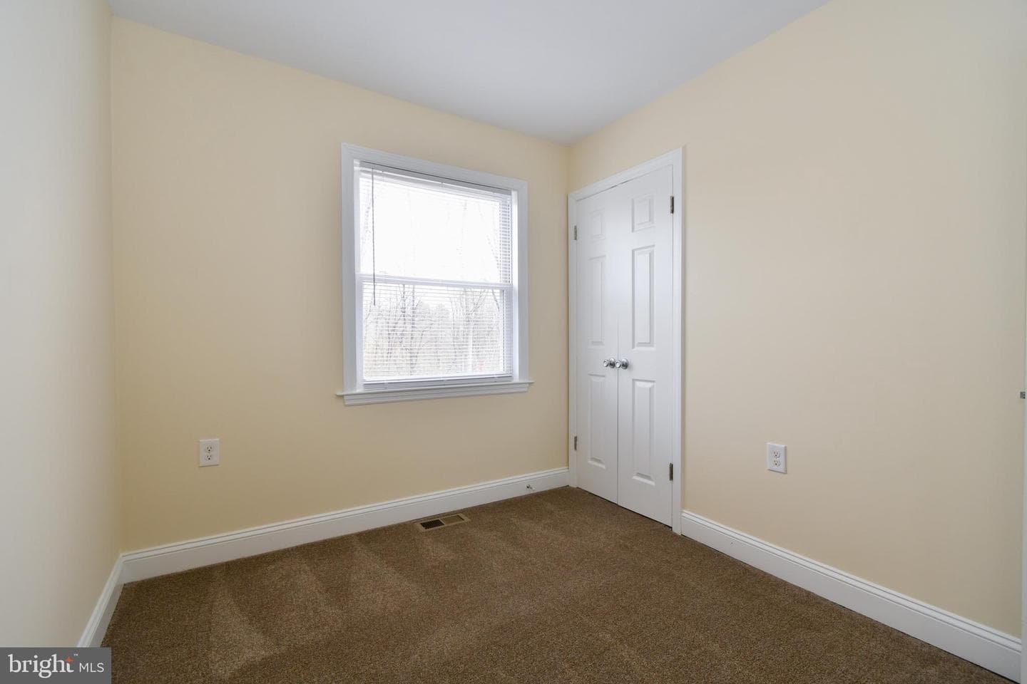 234 Cameron Street photo 28