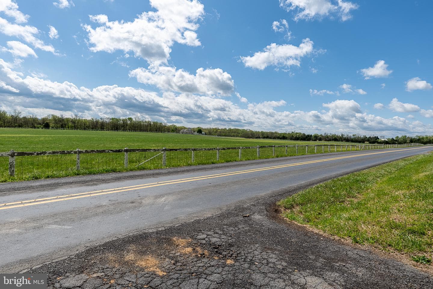 2881 Salem Church Road photo 97