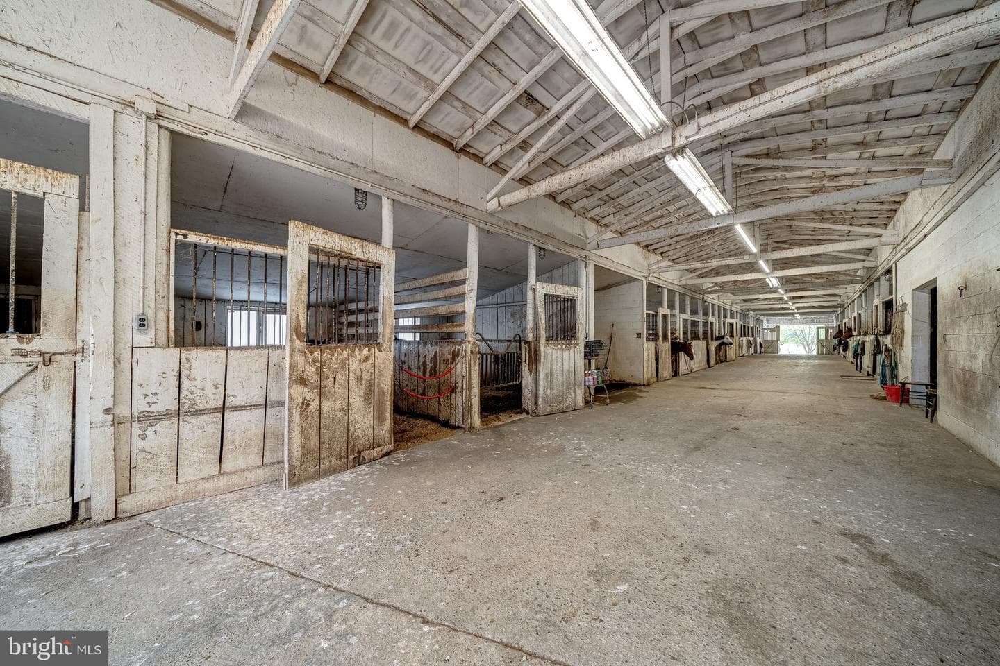 3637 Millwood Road photo 14