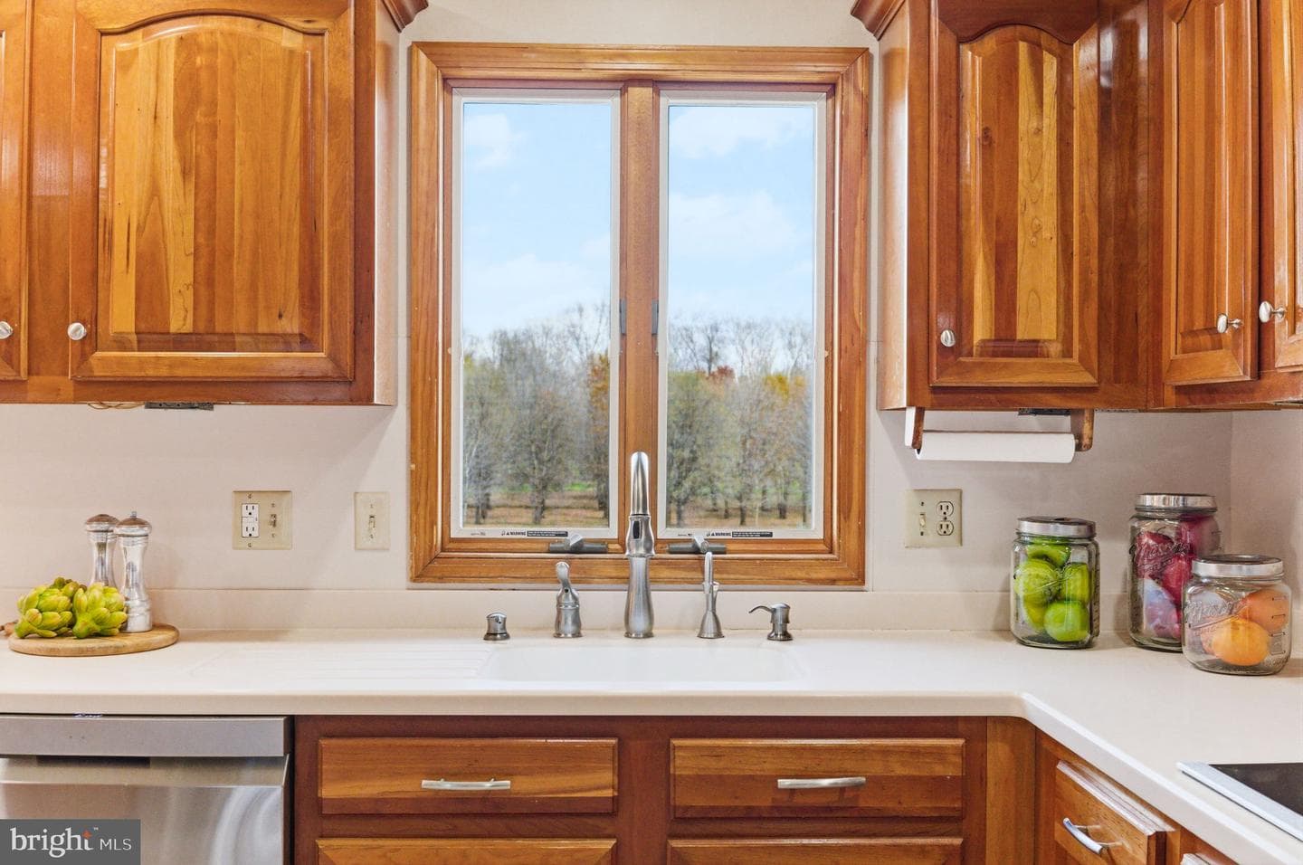 1527 Shenandoah River Lane photo 58