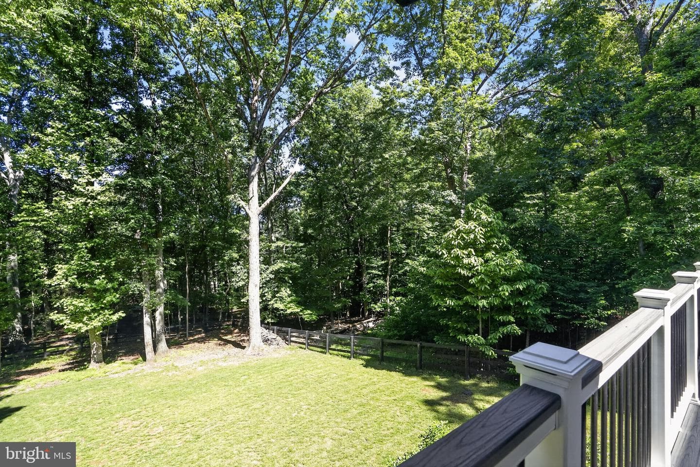 77 Balsam Lane photo 43
