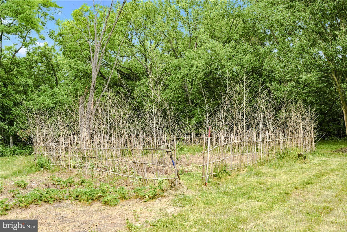 193 Marsh Lane photo 84