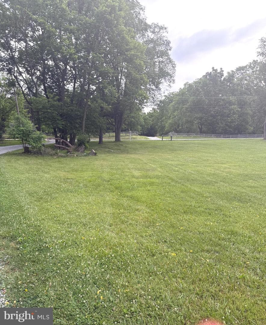 1503 Senseny photo 29