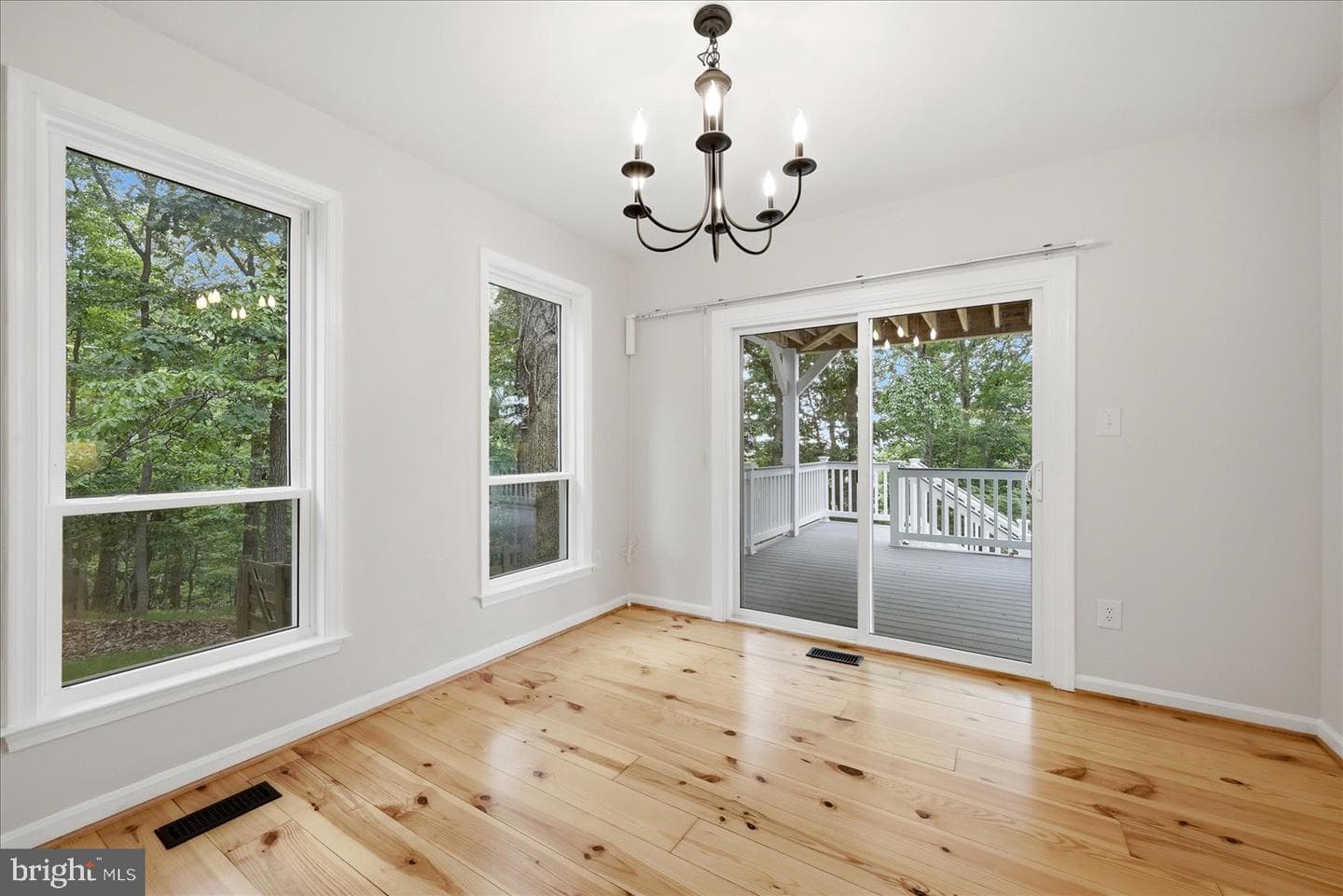 509 Cedar Lane photo 18
