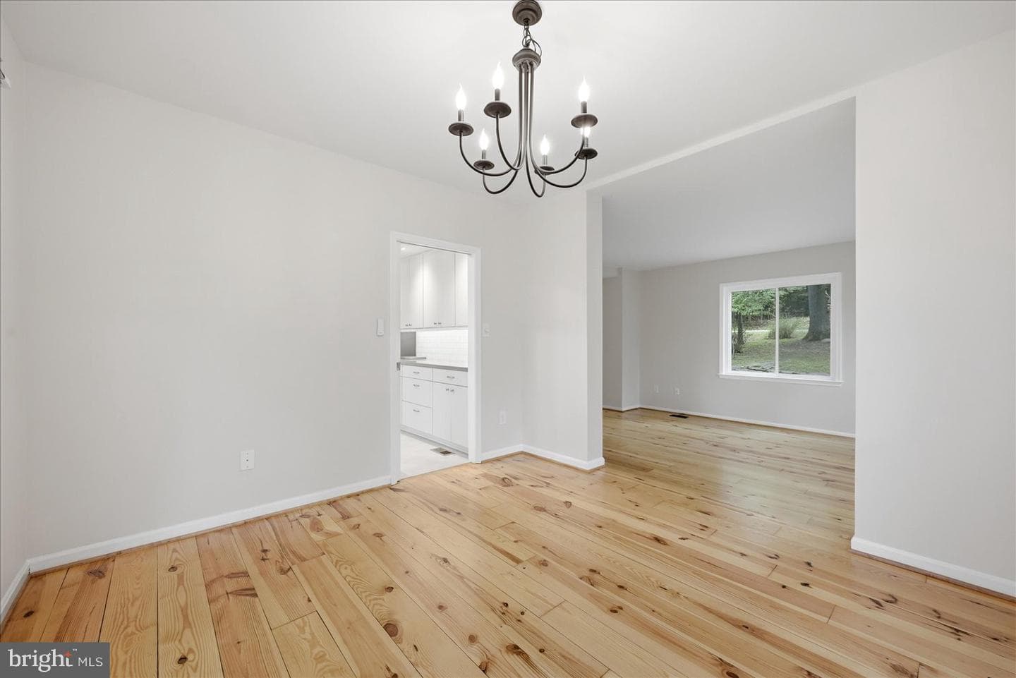 509 Cedar Lane photo 20