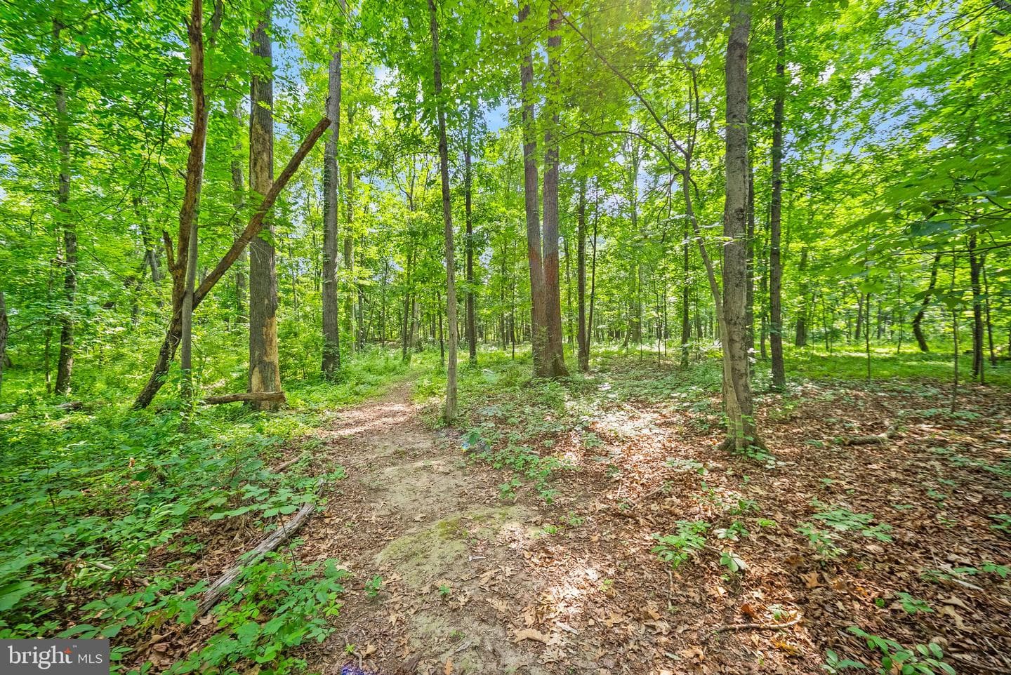 4020 Millwood Road photo 97