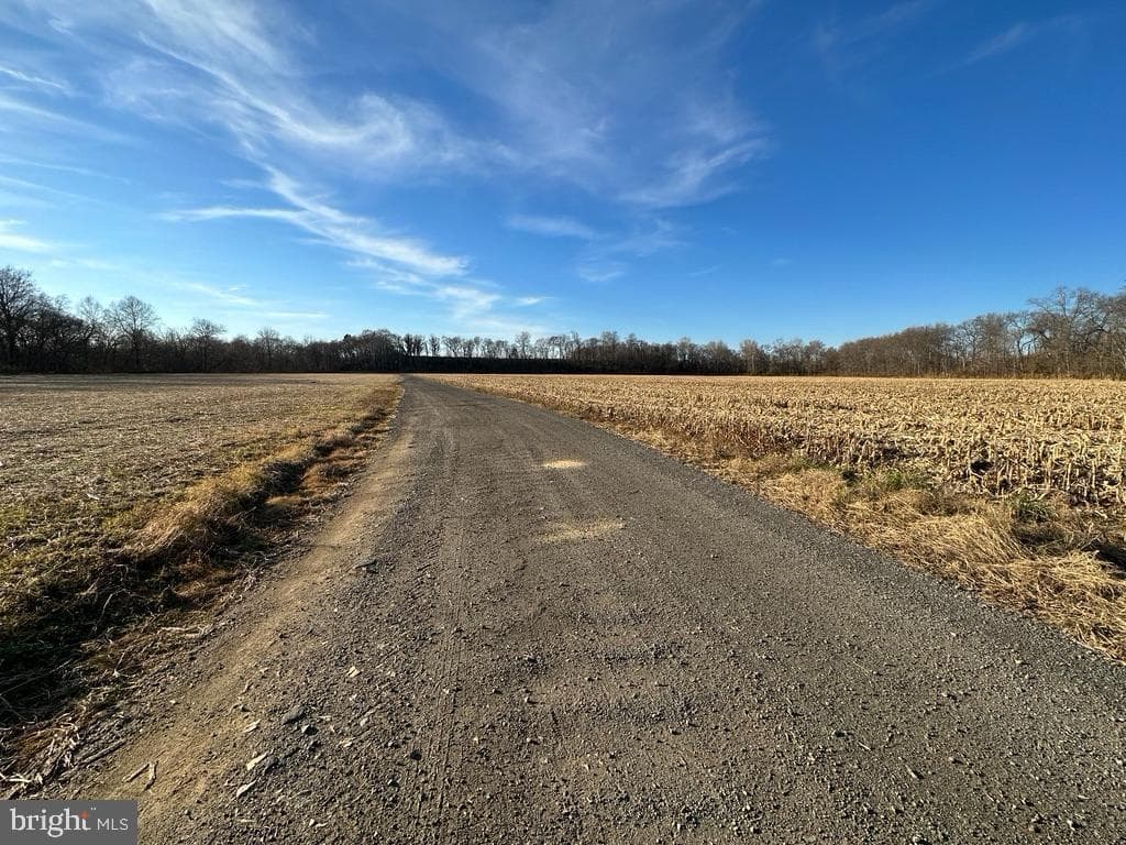 8184 Fox Groves Road photo 31