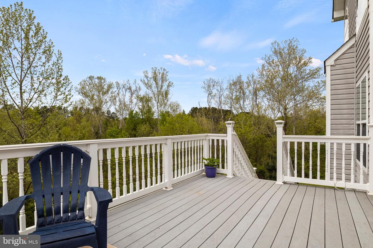 13109 Belle Grove Court photo 41