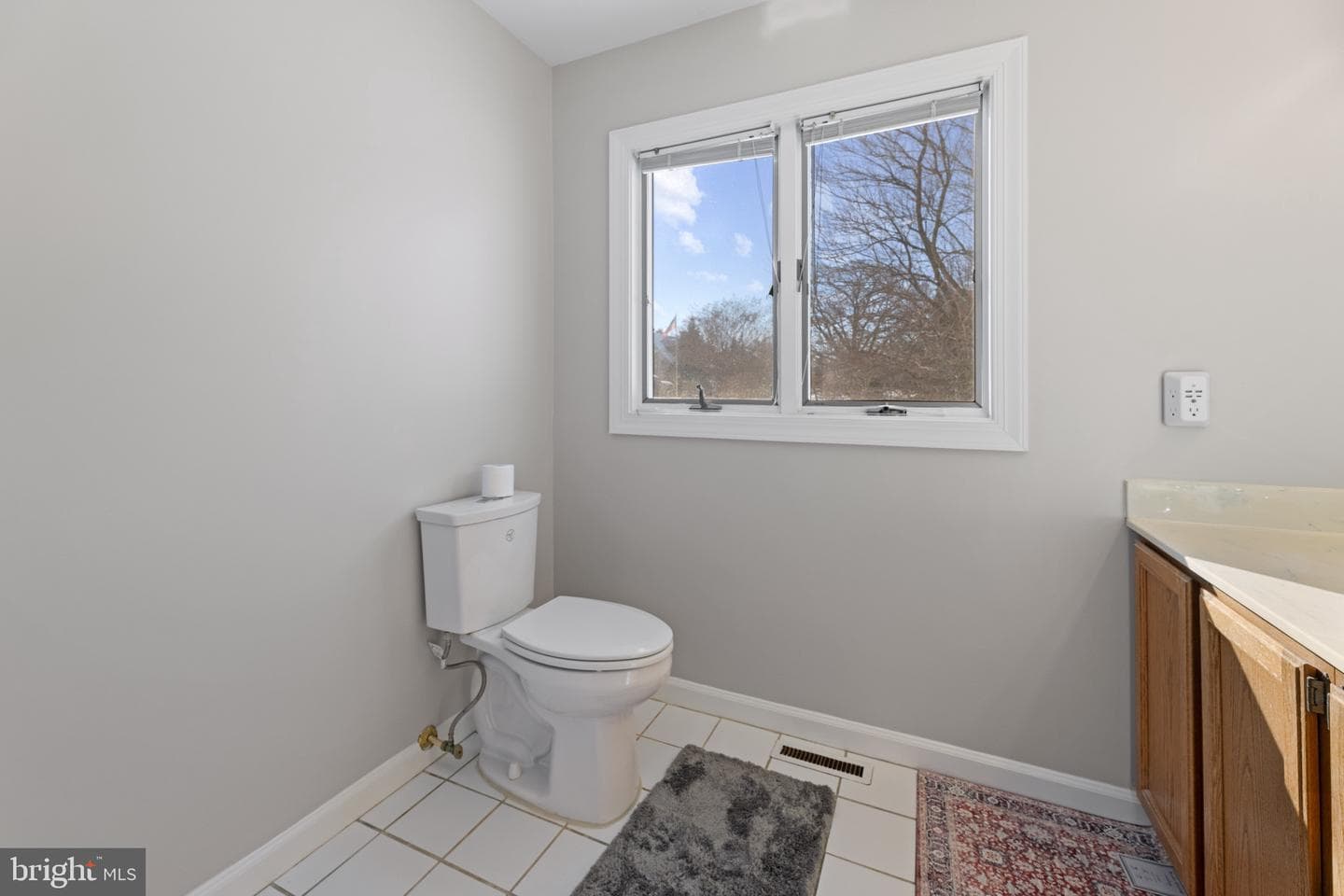 9176 Whitestone Court photo 24