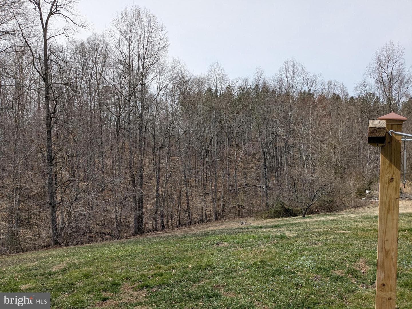25093 Rodriguez Lane photo 6