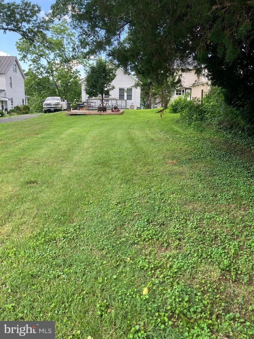 1005 Terrace Street photo 4