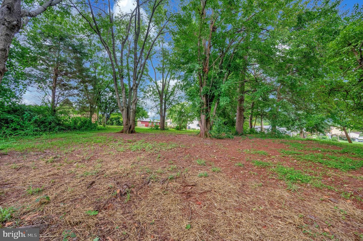 325 Elmwood Drive photo 8