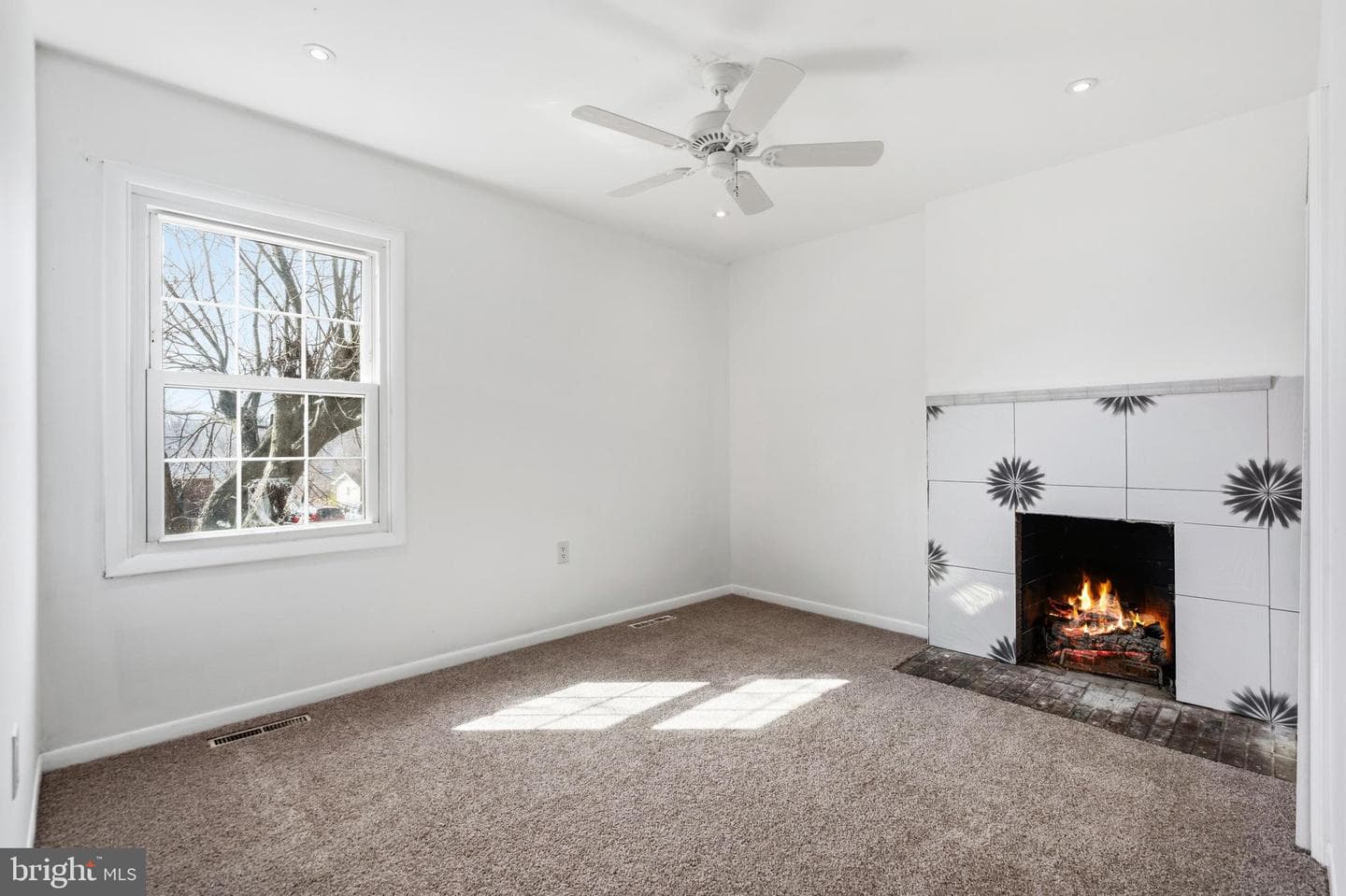226 Chestnut Drive photo 18