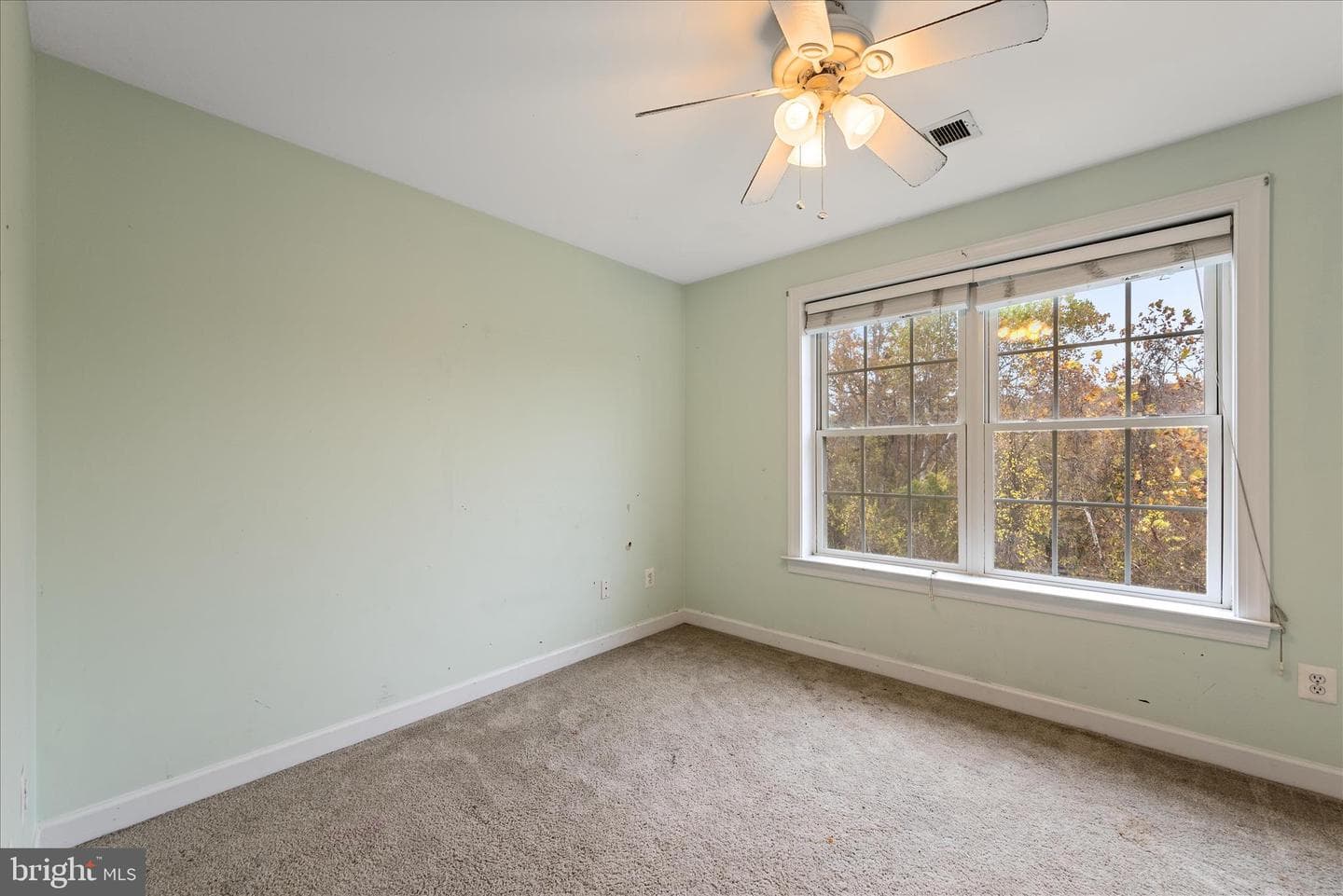 5194 Beach Ridge Lane photo 52