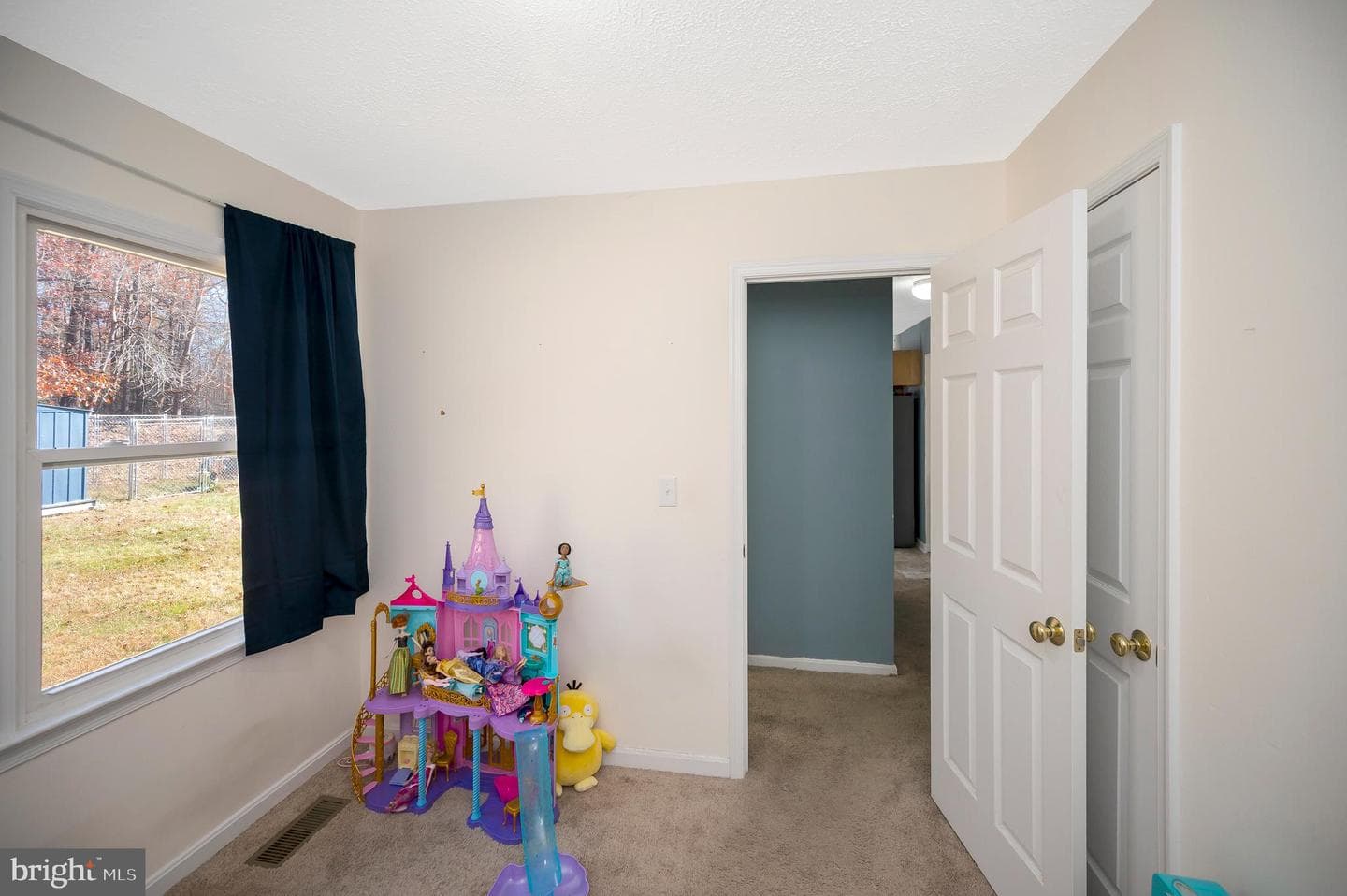 9577 Roys Lane photo 18