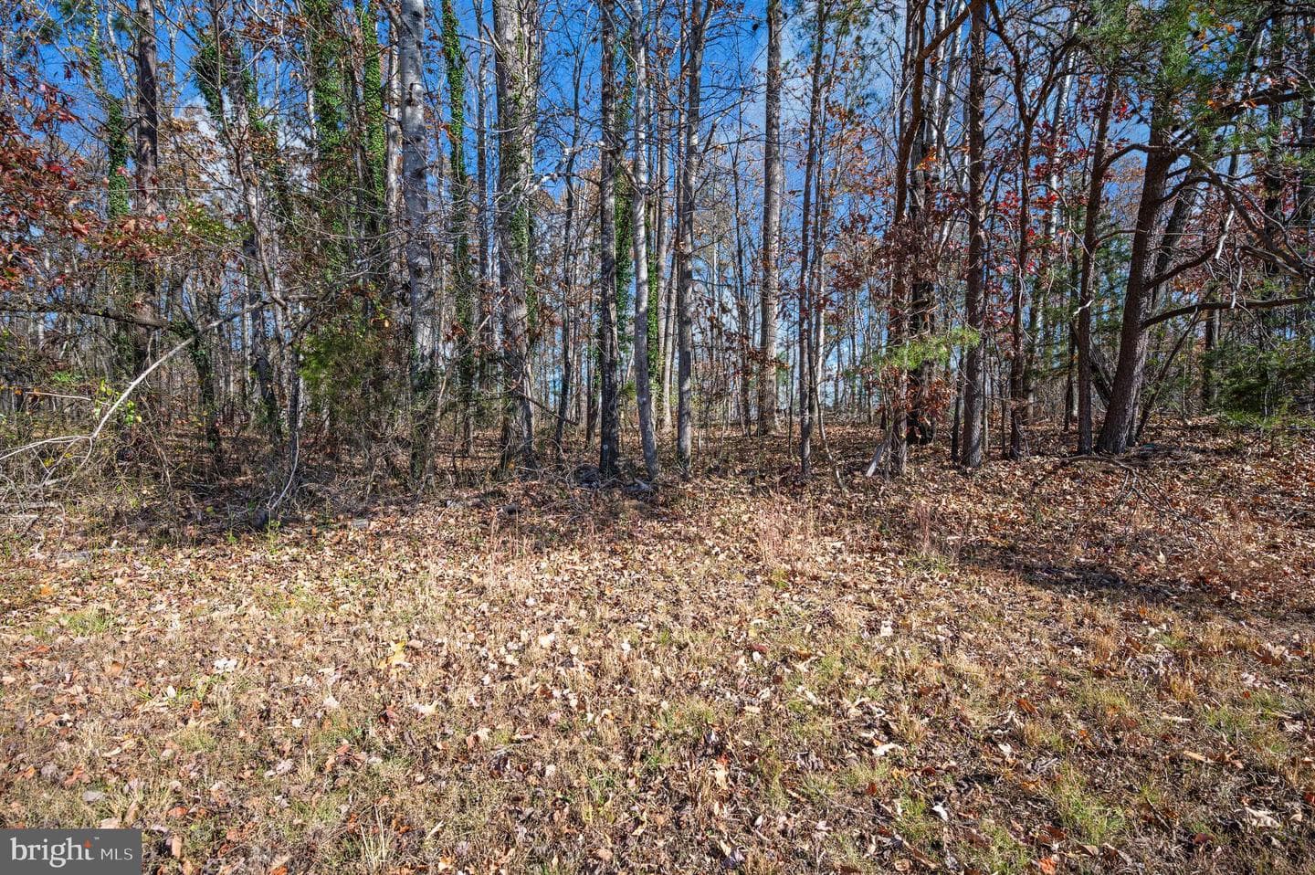 9577 Roys Lane photo 41