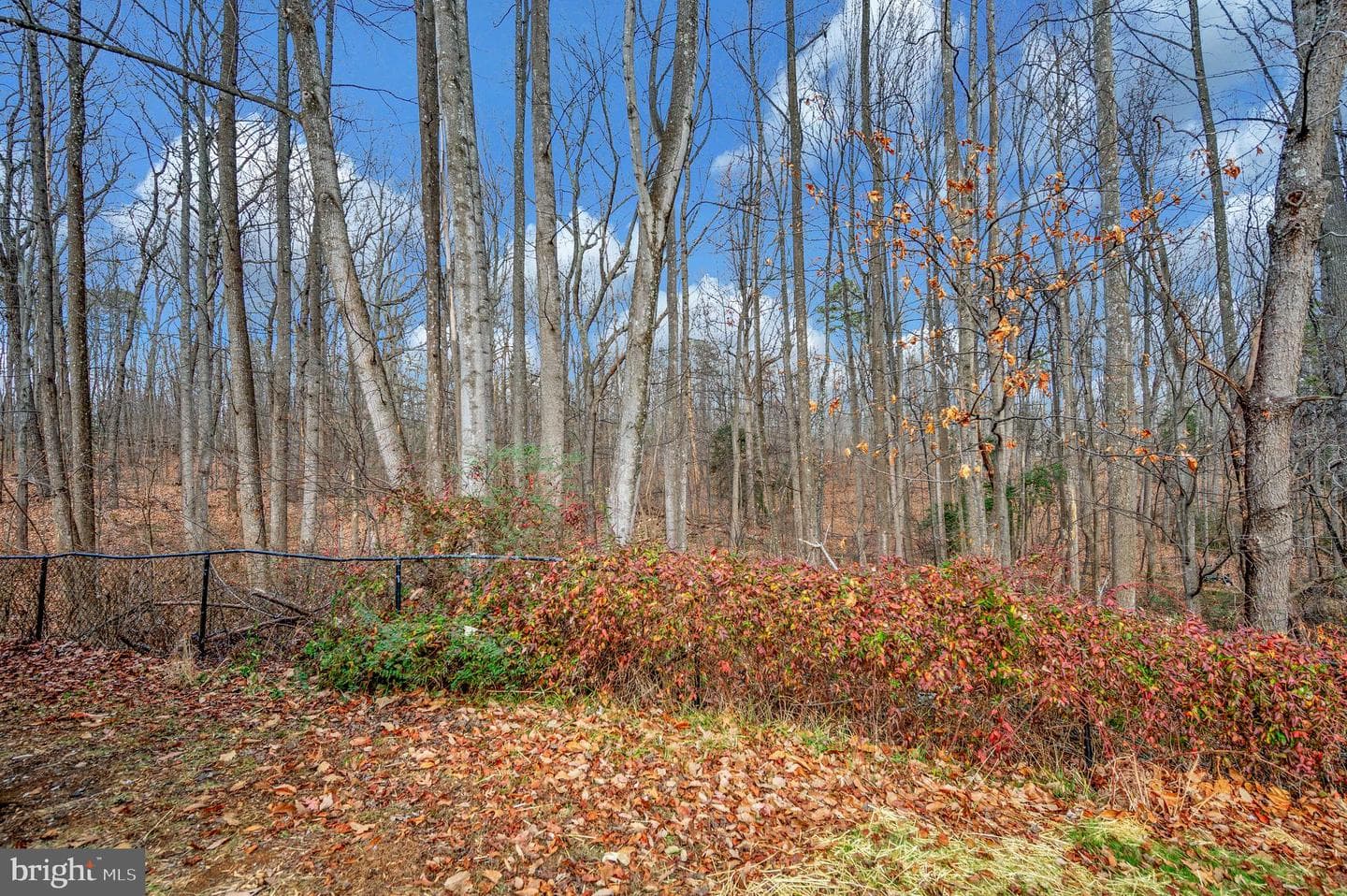 8445 James Monroe Highway photo 50