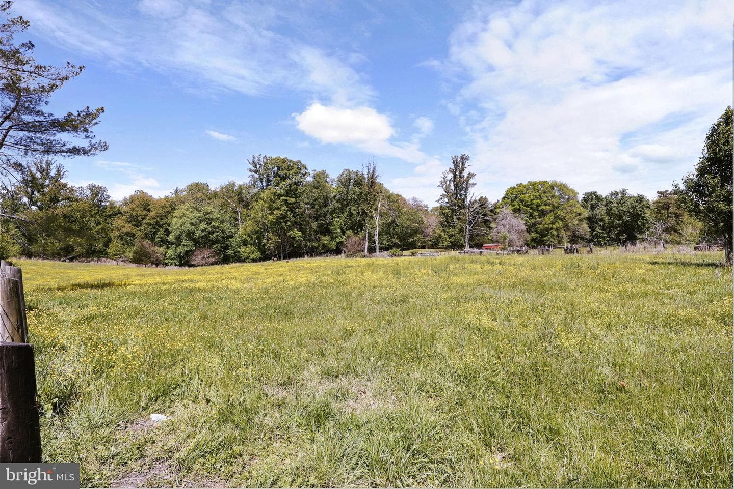 13523 Gray Horse Lane photo 25