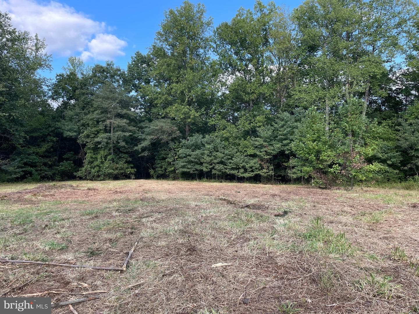 17464 Executive Lane photo 12