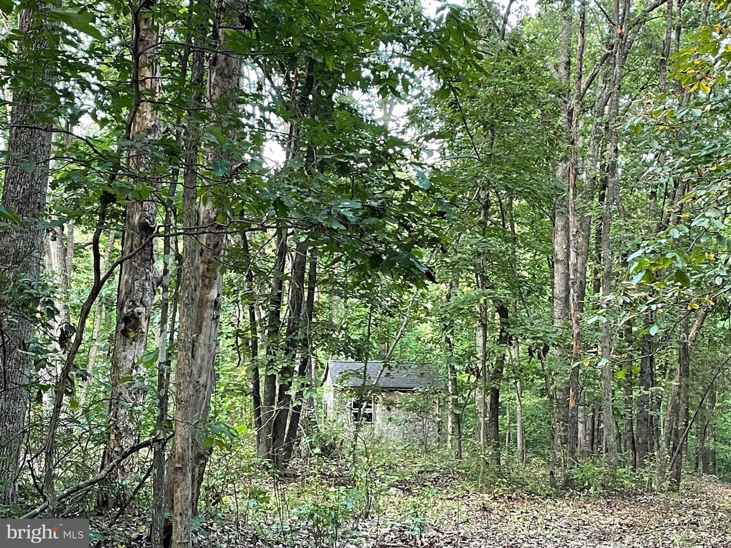 17464 Executive Lane photo 22