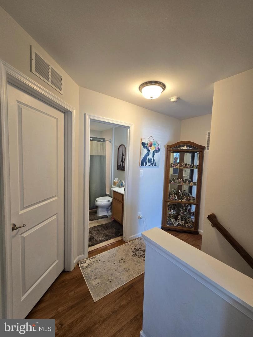 12203 Salt Cedar Lane photo 22