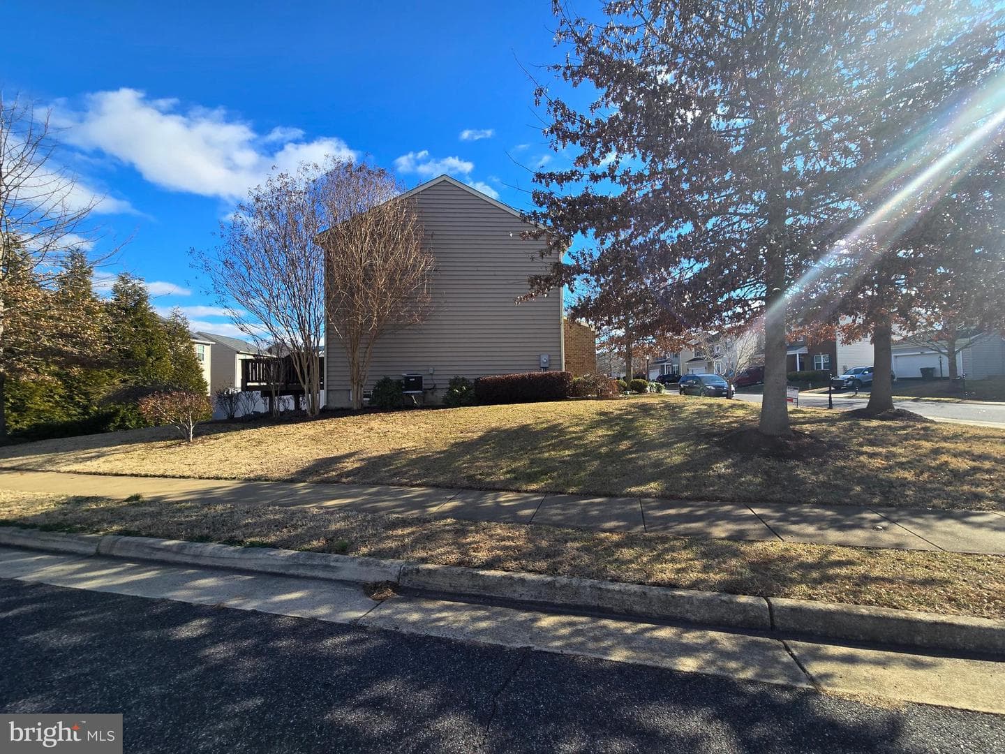 12203 Salt Cedar Lane photo 35