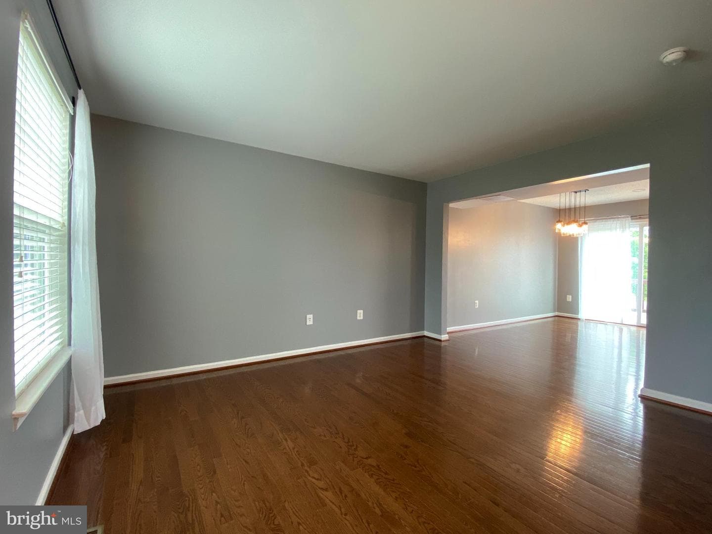 12203 Salt Cedar Lane photo 8