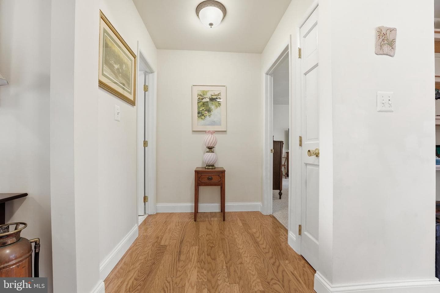 15403 Froggy Bottom Lane photo 24