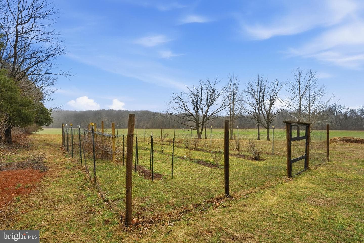 15403 Froggy Bottom Lane photo 41