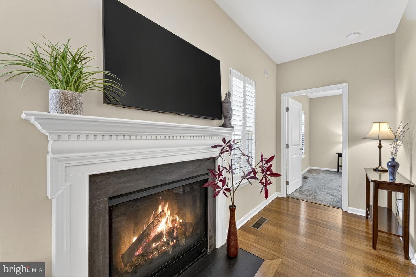 12115 Majestic Place photo 24