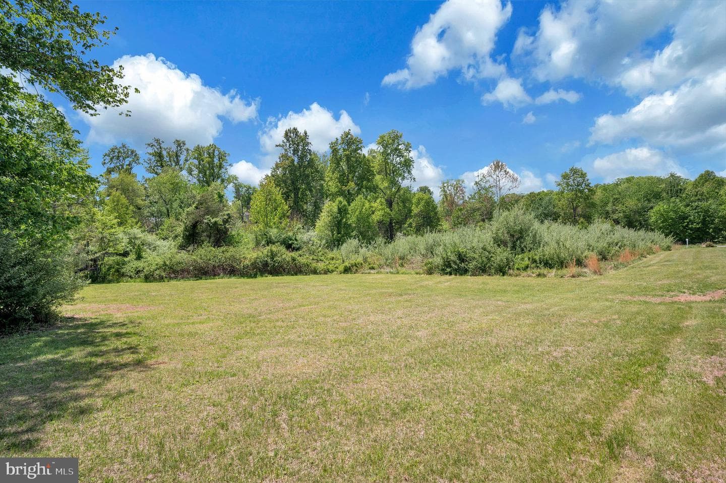 15025 Woodland Church Road photo 5