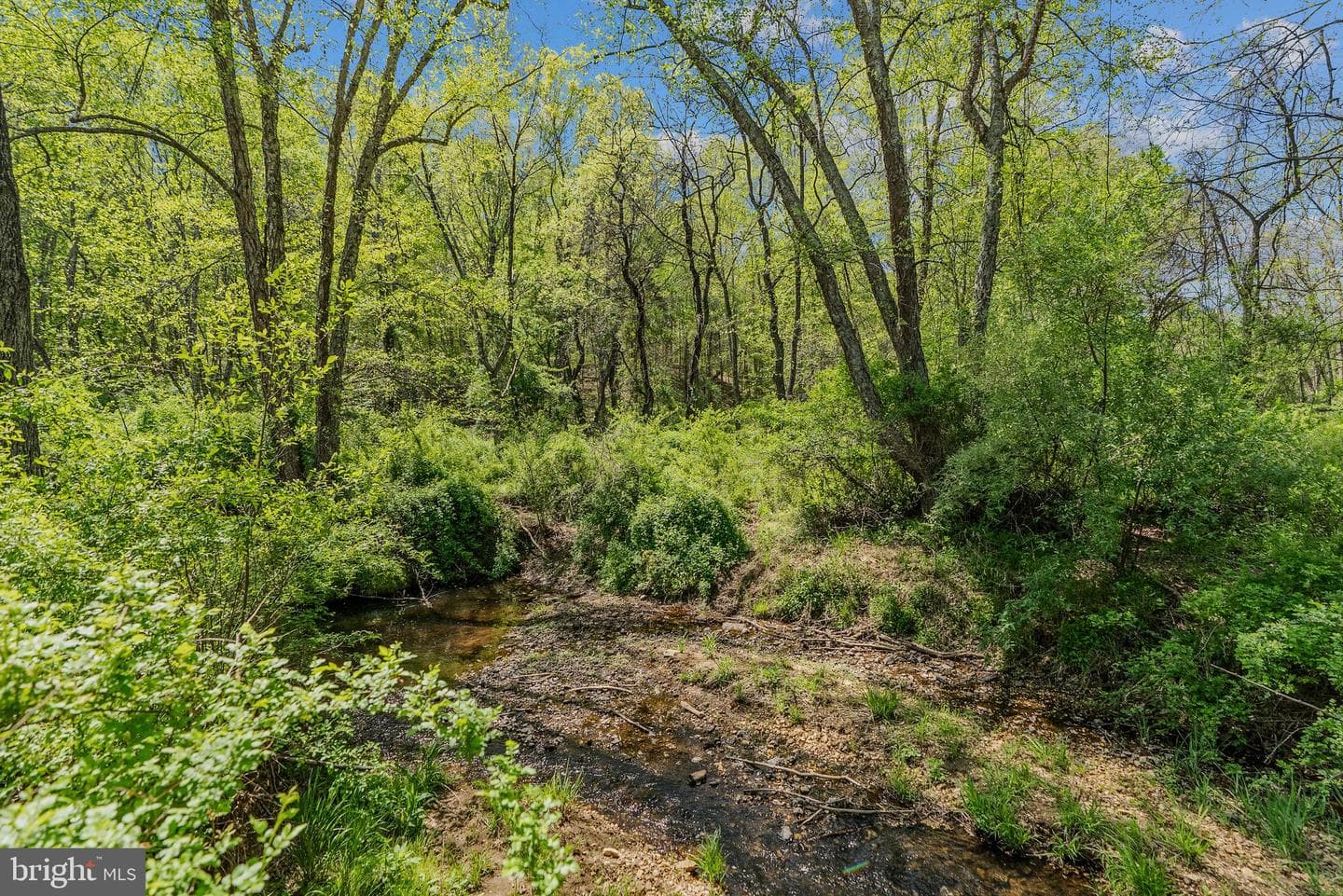 8396 Rixeyville Road photo 46