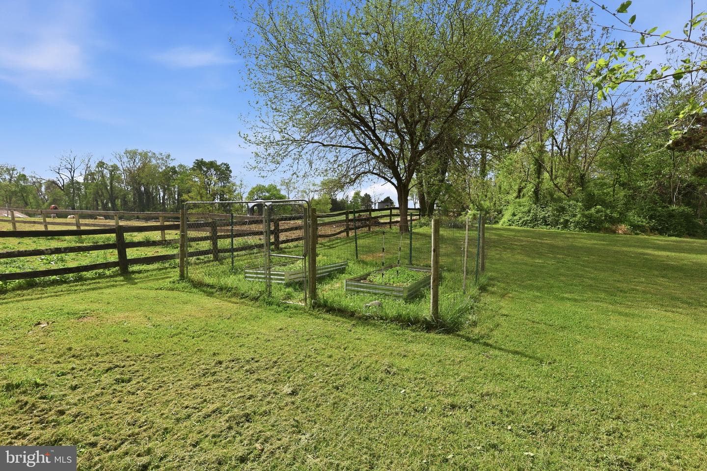 18583 Springs Road photo 35