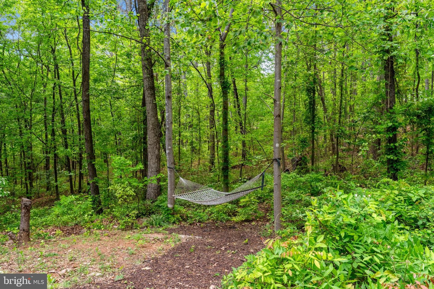 19106 Loggers Road photo 3