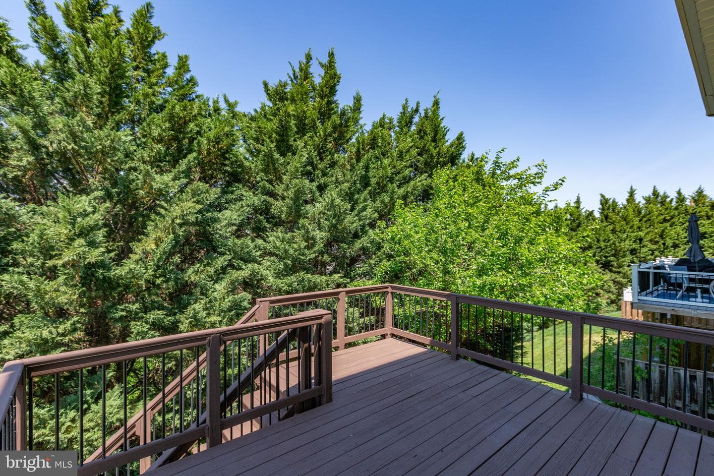 2312 Forsythia Drive photo 31